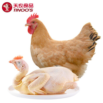 天农供港农家土鸡800g竹林散养母鸡走地鸡整鸡肉冷冻红烧煲汤食材