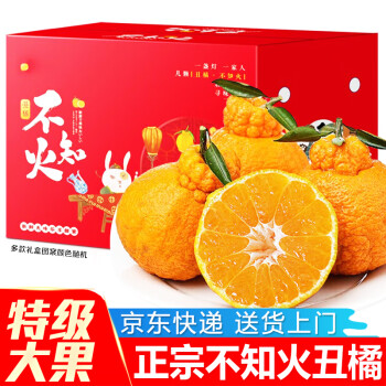知鲜湾 不知火丑橘橘子桔子柑橘新鲜当季时令水果整箱 5斤装