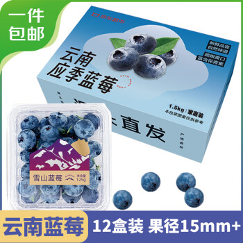 Mr.Seafood 京鲜生 云南蓝莓 12盒 约125g/盒 15mm+ 新鲜水果礼盒 源头直发 包邮