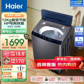 Haier 海尔 变频波轮洗衣机 XQB100-BZ206 一级能效 12KG