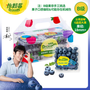 怡颗莓 Driscoll\'s云南蓝莓经典超大果18mm+6盒装 新鲜水果
