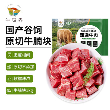 牛世界原切牛腩块1kg国产谷饲新鲜牛肉清真红烧牛肉烧烤食材生鲜冷冻