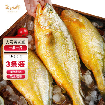 卖鱼七郎 黄花鱼 1.5kg/3条装 国产福建大黄鱼 生鲜 鱼类 海鲜水产