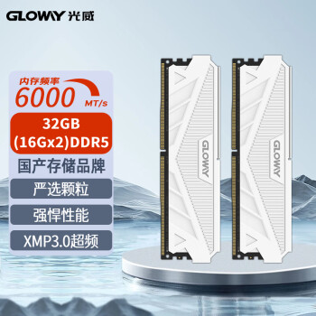 GLOWAY 光威 32GB(16GBx2)套装 DDR5 6000 台式机内存条 天策系列 助力AI