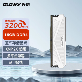 GLOWAY 光威 GW 光威 天策系列 DDR4 3200MHz 台式机内存 马甲条 皓月白 16GB