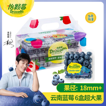怡颗莓 Driscoll's云南蓝莓经典超大果18mm+6盒装 新鲜水果