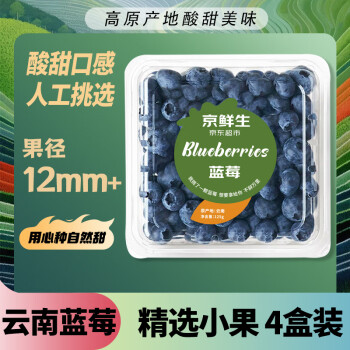 Mr.Seafood 京鲜生 云南蓝莓 4盒装 果径12mm+ 新鲜水果礼盒 源头直发