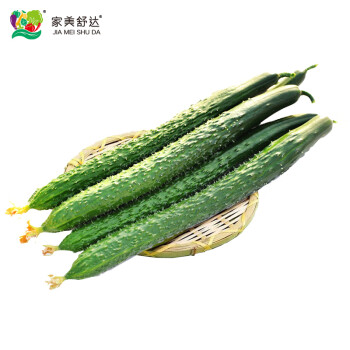 家美舒达山东特产带刺黄瓜750g长黄瓜健康轻食新鲜蔬菜