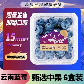 Mr.Seafood 京鲜生 云南蓝莓 6盒 约125g/盒 15mm+ 新鲜水果礼盒 源头直发 包邮
