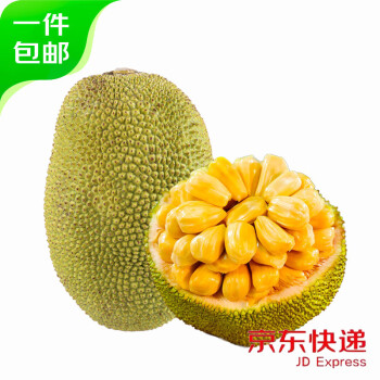 果当爱 海南菠萝蜜 整个装25-30斤特大果脆甜黄肉老树 新鲜水果源头直发