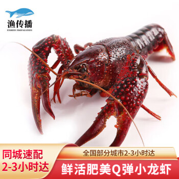 渔传播 同城速配 鲜活小龙虾 约4-6钱/只净虾1.5kg 龙虾生鲜活虾