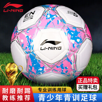 LI-NING 李宁 5号足球室外比赛儿童成人机缝足球 LFQK671-3