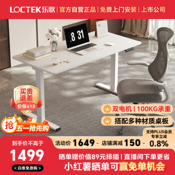 Loctek 乐歌 电动升降桌电脑桌双电机站立办公家用书桌 ES2/1.2m雅白色套装