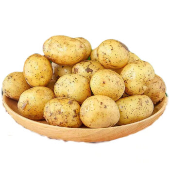 京地达 栗贝诺 小土豆新鲜净重4.5斤 当季蔬菜土家特产迷你马铃薯