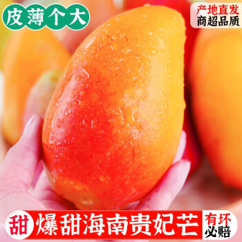 张小壮 贵妃芒 海南贵妃芒果4.5-5斤现摘树上熟 新鲜水果单果约100-150g