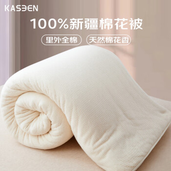 kaseen 开诚 100%天然新疆棉花被芯  夏薄被 4斤 220x240cm