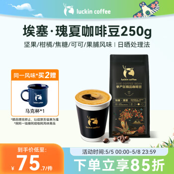 瑞幸咖啡 单产区精品咖啡豆埃塞·瑰夏咖啡豆250g/袋中烘日晒门店同源豆粉