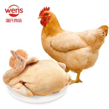 WENS 温氏 供港矮脚黄鸡1kg 冷冻高品质整鸡 农家土鸡 慢养130天以上