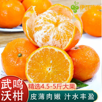 伊鲜拾光 广西武鸣沃柑 桔子橘子当季新鲜水果 精选净重4.5-5斤单果70mm+