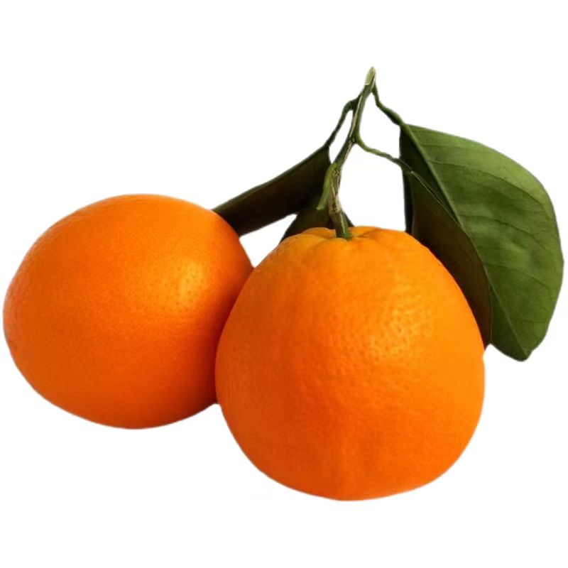 翰鸥斐 伦晚脐橙 5斤装 果径75mm+ 17.3元（需买2件，需用券）