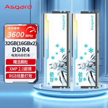 Asgard 阿斯加特 32GB(16GBx2)套装 DDR4 3600 台式机内存 RGB灯条 吹雪