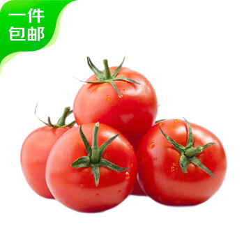 京百味 山东海阳普罗旺斯西红柿1.5kg装 网红口感沙瓢番茄源头直发