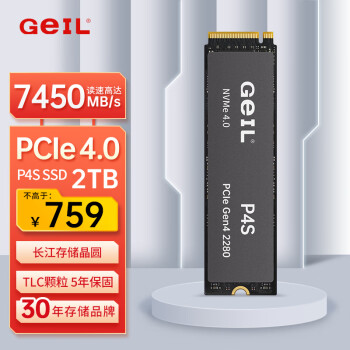 GeIL 金邦 2TB SSD固态硬盘 M.2接口(PCIe 4.0 x4)NVMe SSD游戏高性能版高速7450MB/S