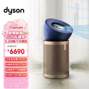 dyson 戴森 BP04空气净化器 大面积净化异味和过敏原 滤除花粉 宠物毛发 输出洁净凉风