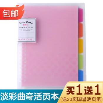 KOKUYO 国誉 Campus WSG-RUCP11P 活页夹笔记本 粉色 B5 40张 单本