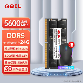 GeIL 金邦 24G DDR5-5600  笔记本内存条 千禧系列389