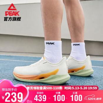 PEAK 匹克 态极科技飞羽005缓震支撑跑步鞋夏季新品运动鞋男DH420007