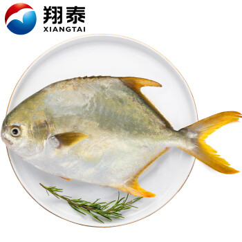 XIANGTAI 翔泰 冷冻海南大规格金鲳鱼550g1条 海鱼 生鲜鱼类 火锅 海鲜水产