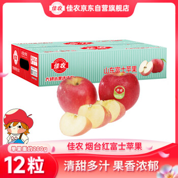 Goodfarmer 佳农 烟台红富士苹果 12个装 单果重约200g 新鲜水果礼盒