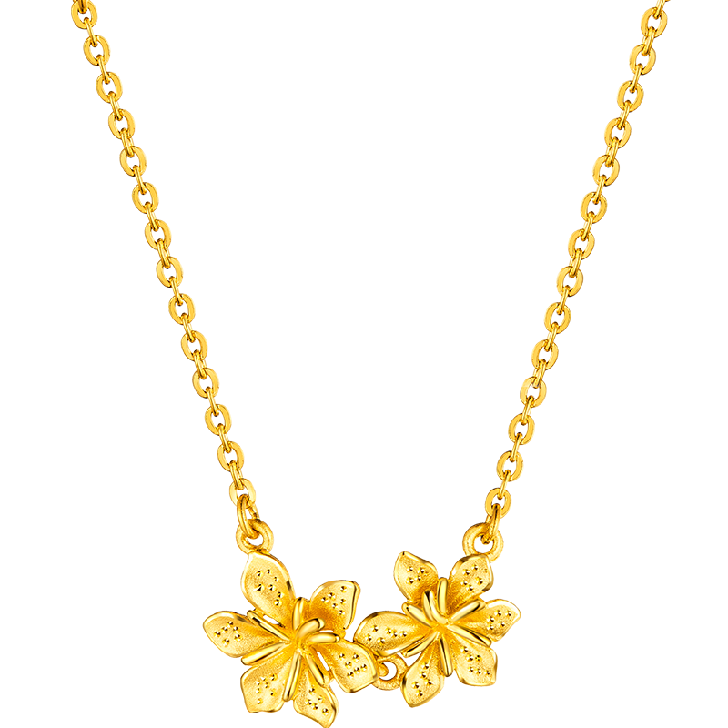 PLUS会员：六福珠宝 （612元/克）足金 项链套链含吊坠 约4.65克 2843元