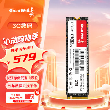 Great Wall 长城 GW7000 NVMe M.2 SSD固态硬盘 1TB（PCI-E 4.0）