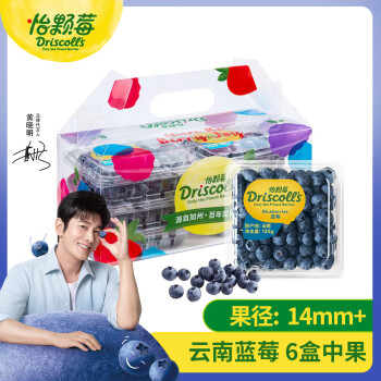 怡颗莓 Driscoll\'s 云南蓝莓14mm+ 6盒礼盒装 125g/盒 新鲜水果礼盒
