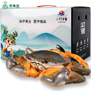 掌昕鲜 三门青蟹 红膏大母蟹（8-9两/只）1只 生鲜活螃蟹海鲜水产礼盒非帝王蟹