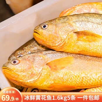 鸿顺 黄花鱼5条300-350g 生鲜鱼类 宁德大黄鱼 源头直发