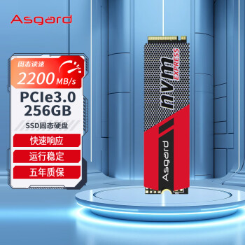 Asgard 阿斯加特 256GB SSD固态硬盘 M.2接口(NVMe协议) PCIe 3.0 AN系列 读速高达2200MB/s