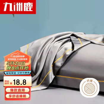 九洲鹿 仿天丝抗菌防螨枕套冰丝枕头套一对48*74cm双人枕芯套夏季