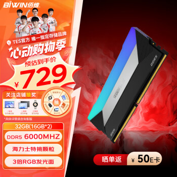 BIWIN 佰维 DX100 DDR5 6000MHz RGB 台式机内存 灯条 石耀黑 32GB 16GBx2 C30