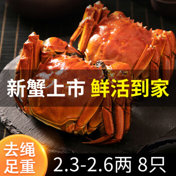 XIAN YAO 鱻谣 大闸蟹鲜活螃蟹 全母2.3-2.6两 8只装 生鲜活蟹中秋礼盒