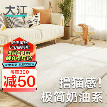 DAJIANG 大江 羊羔绒地毯客厅 沙发茶几卧室地毯免洗160x230cm 素雅