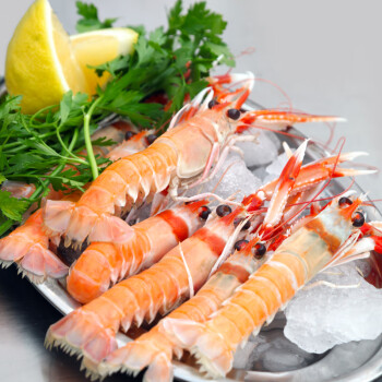百年渔港 海鳌虾 新西兰海鳌虾刺身 1kg（21-30只）年货送礼海鲜