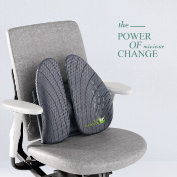 米乔人体工学 腰垫办公室腰靠护垫腰靠背椅子腰托座椅久坐腰部 气动版 ￥199