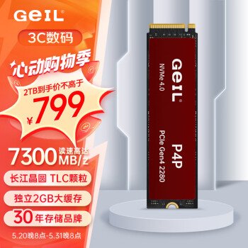 GeIL 金邦 P4P SSD固态硬盘 PCIe4.0 2TB 带独立缓存