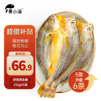 31日20点：黄小渔 醇香黄鱼鲞250g*6条（净重1.5kg）大黄花鱼生鲜水产鱼类源头直发