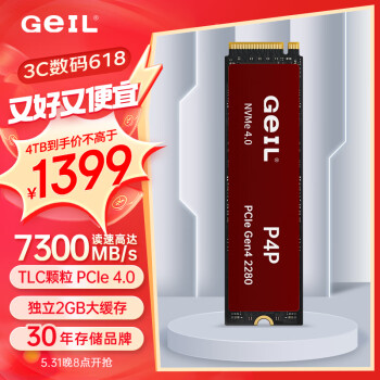 GeIL 金邦 4TB SSD固态硬盘M.2接口NVMe SSD游戏高性能版 2G独立缓7300MB/S