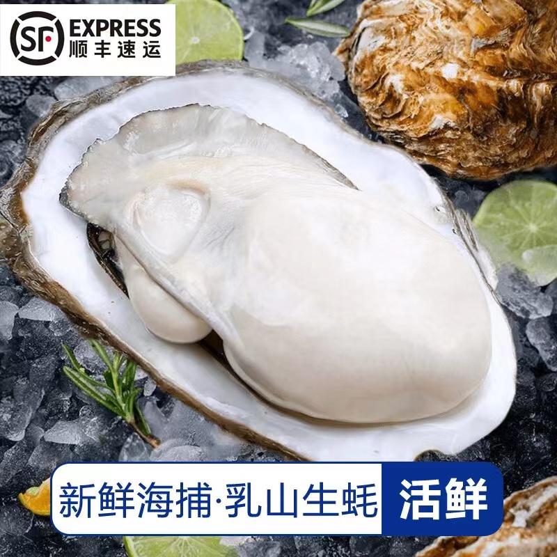 顺丰冷链！产地直发！ 乳山生蚝 5XL牡蛎 5斤 （带官方溯源防伪标识、死蚝包赔) 券后70元