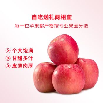 Mr.Seafood 京鲜生 烟台红富士苹果12个 净重2.1kg单果160-190g 水果礼盒